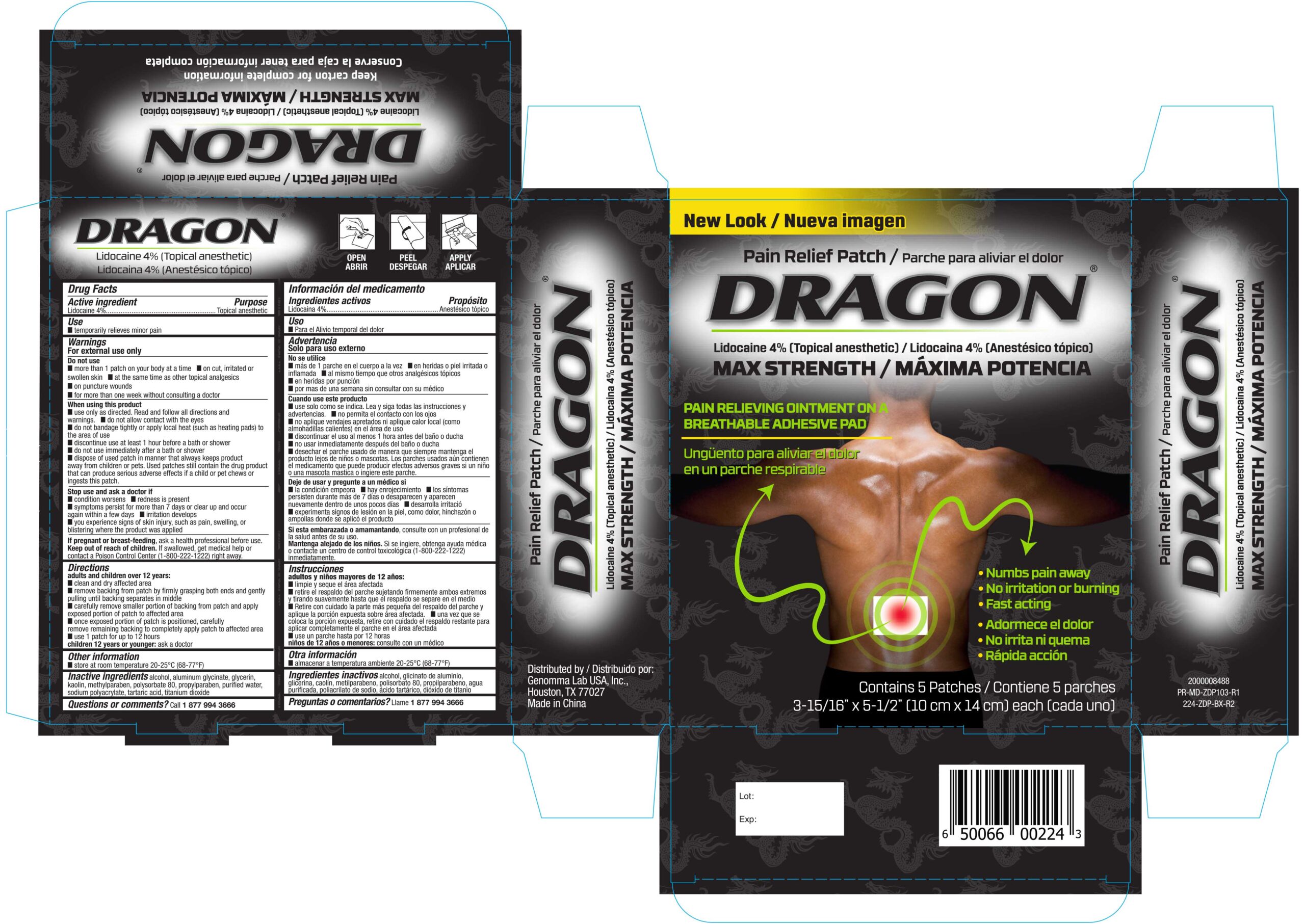 224-ZDP-BX GEN Dragon Pain Relief Patch 5ct-R2_FDA